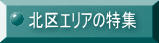 kGA̓W 